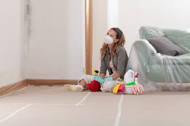 Reliable Mold Remediation contractor in North Andover, MA by WQB Mold Removal